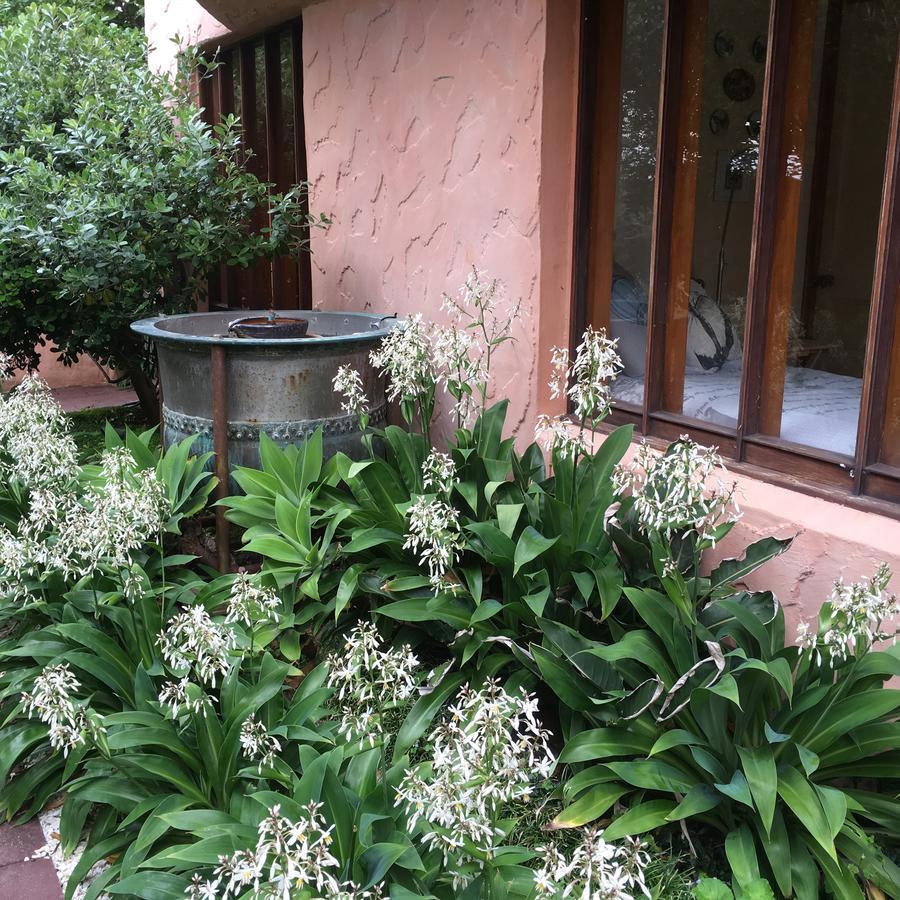 Orewa Beachside Exterior foto